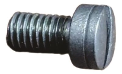 Parafuso Placa 6 tiros Inox