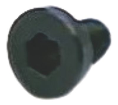 Parafuso Escarea Seletor de Tiro T4 M3x0,5 6mm CL 129