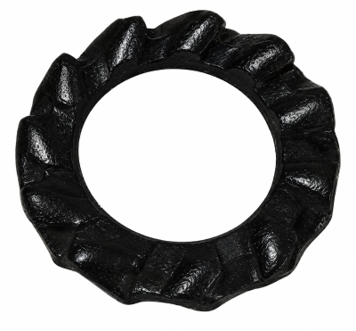 Arruela Dentada Externa M6 T4